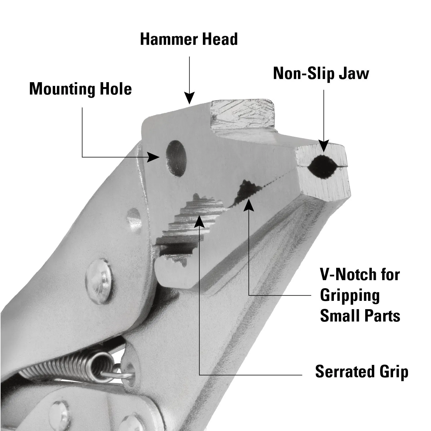 STRONG HAND EUROPE Extractor PBX710 pince-étau 7 pouces à mâchoire crantée