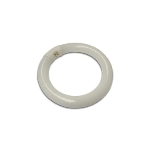 Velleman VTLLAMP tube fluorescent circulaire 22 W blanc froid