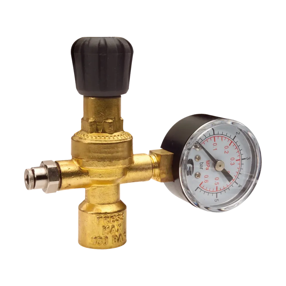 CFH DR 513 détendeur de gaz avec manomètre 3–4 bar