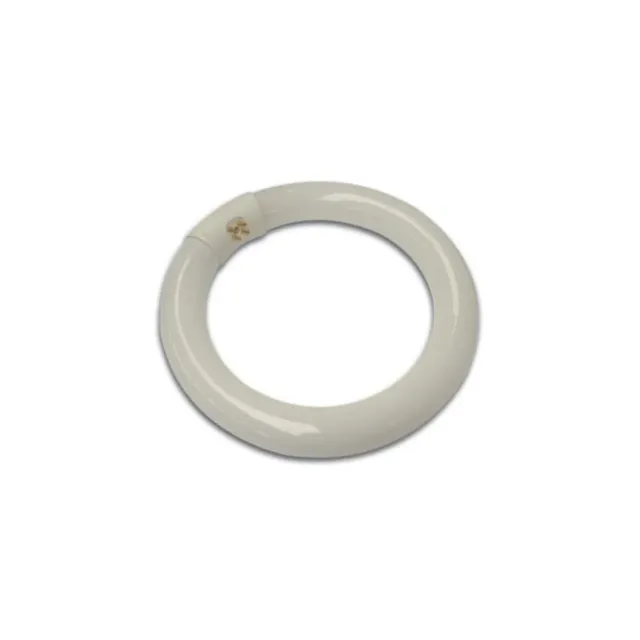 Velleman VTLLAMP tube fluorescent circulaire 22 W blanc froid